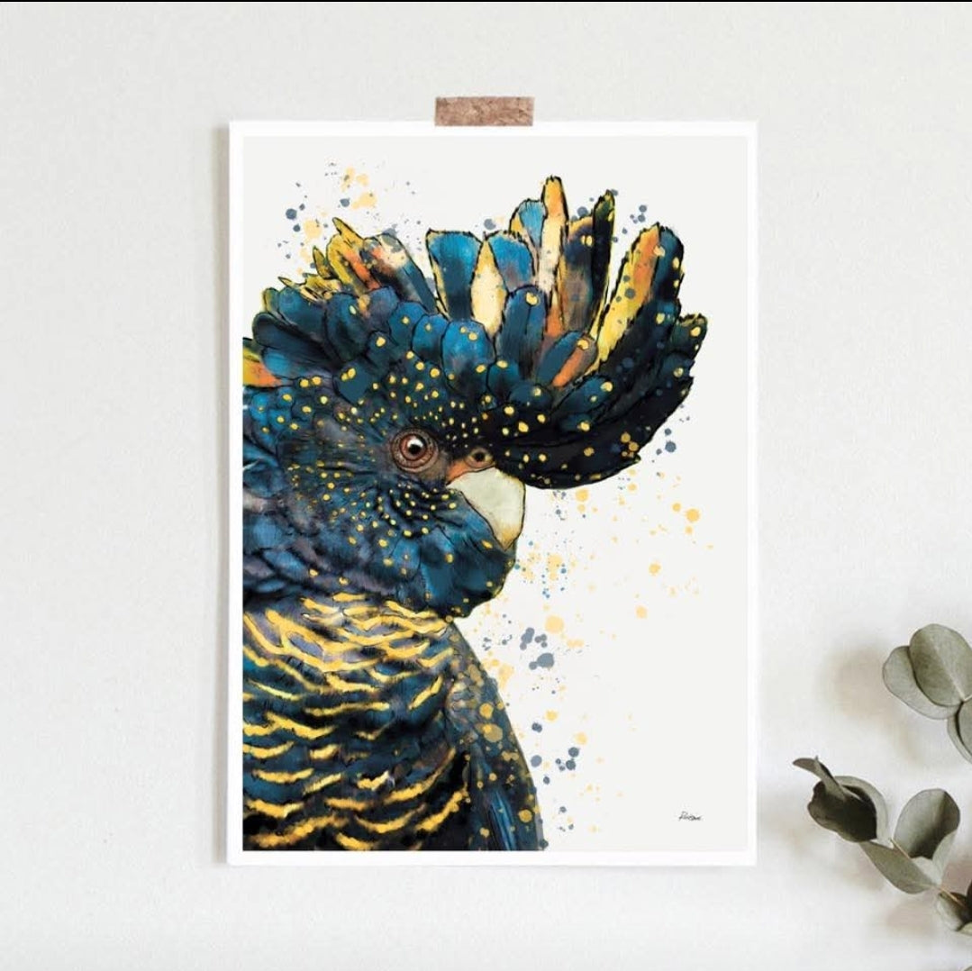 A collection of four fine art prints of Australian birds, featuring a Cockatoo Finch, a Blue Wren, a Black Cockatoo, and a different angle of the Blue Wren, with bold splashes of paint in various colors.