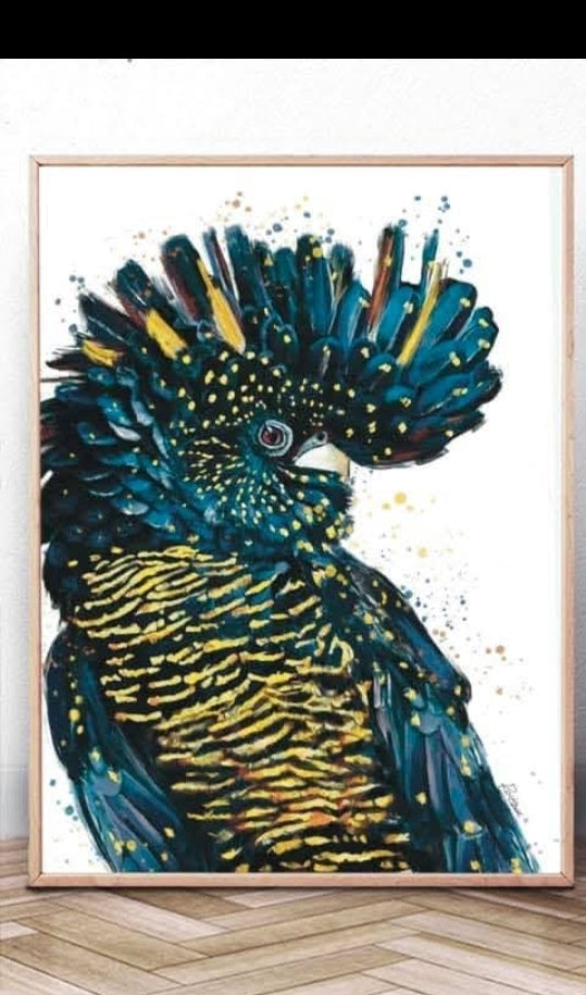 Australian Birds Fine Art print - A4
