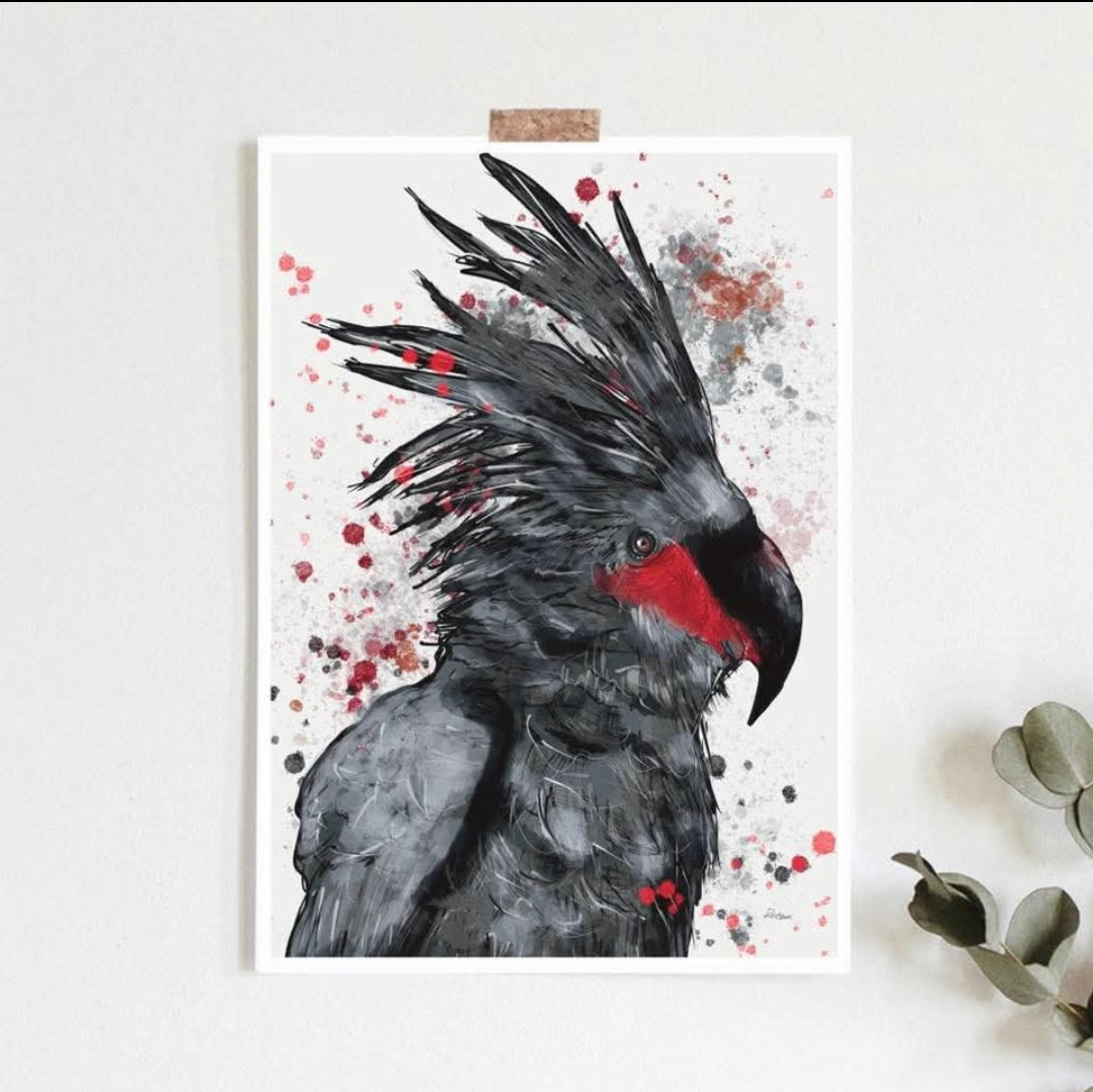 A collection of four fine art prints of Australian birds, featuring a Cockatoo Finch, a Blue Wren, a Black Cockatoo, and a different angle of the Blue Wren, with bold splashes of paint in various colors.