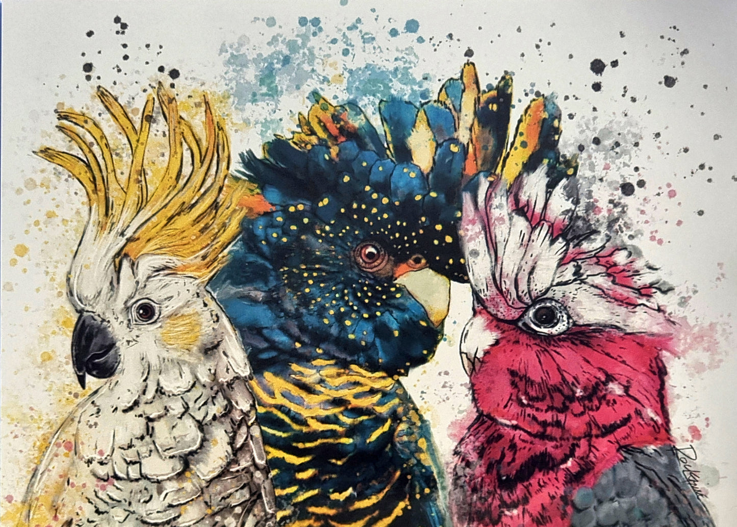 Cockatoo