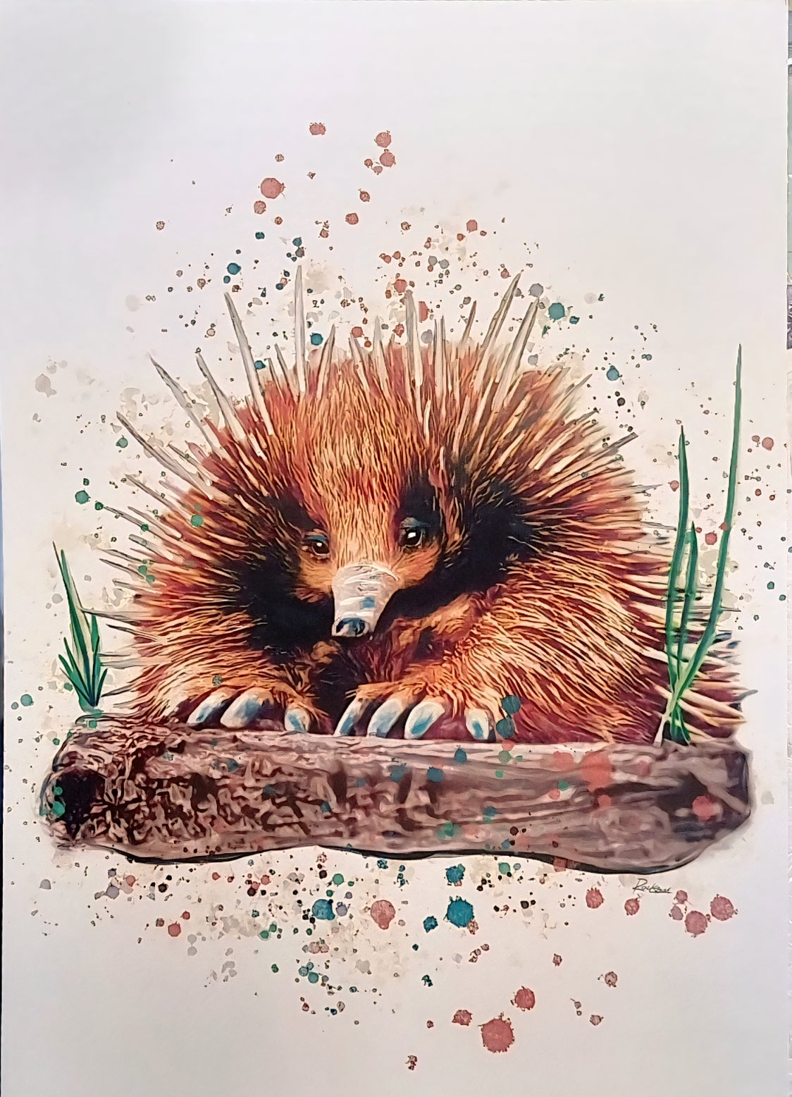 Illustration of an Echidna on a log with a colorful abstract background