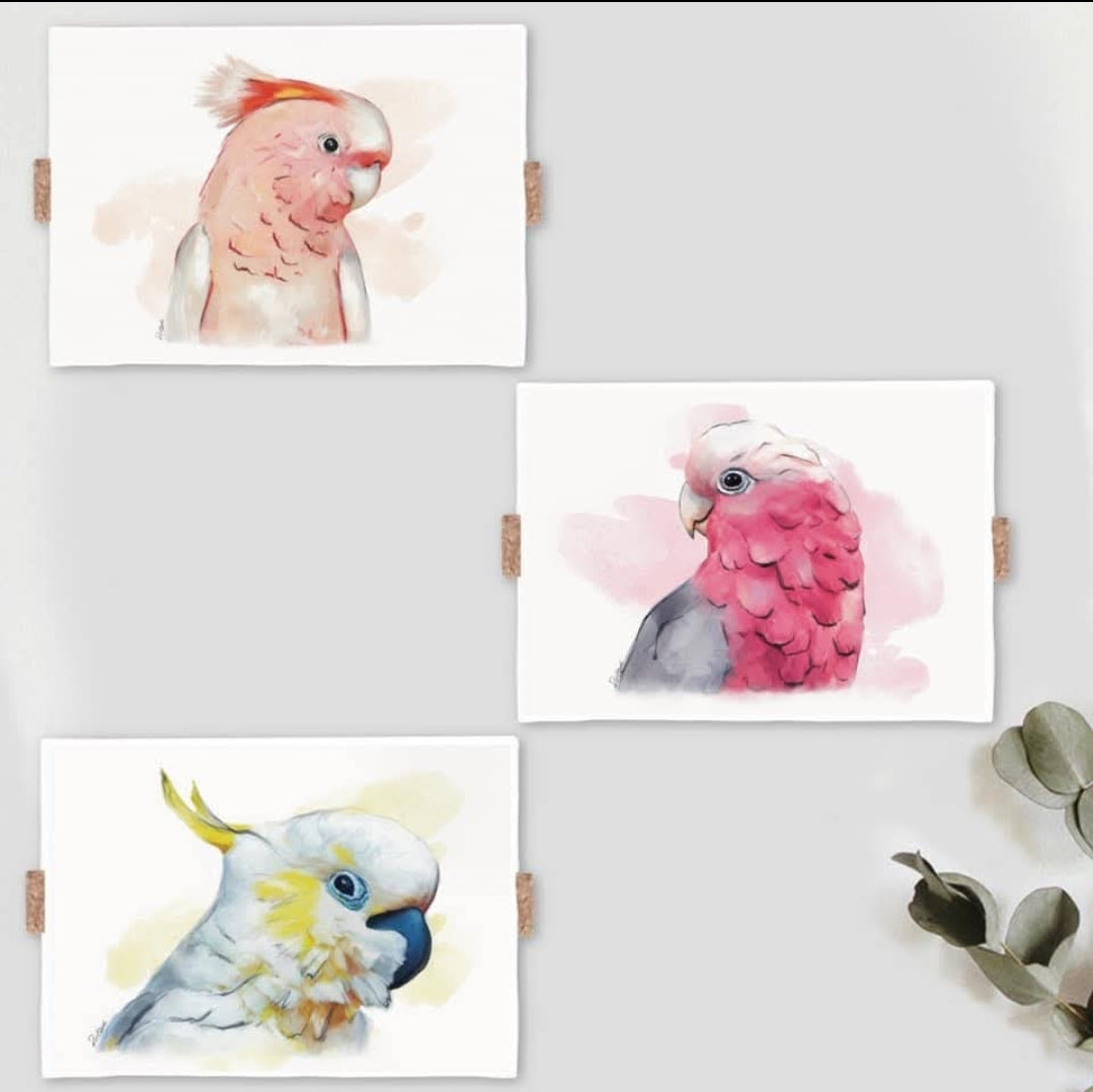 Australian Birds Fine Art print - A4