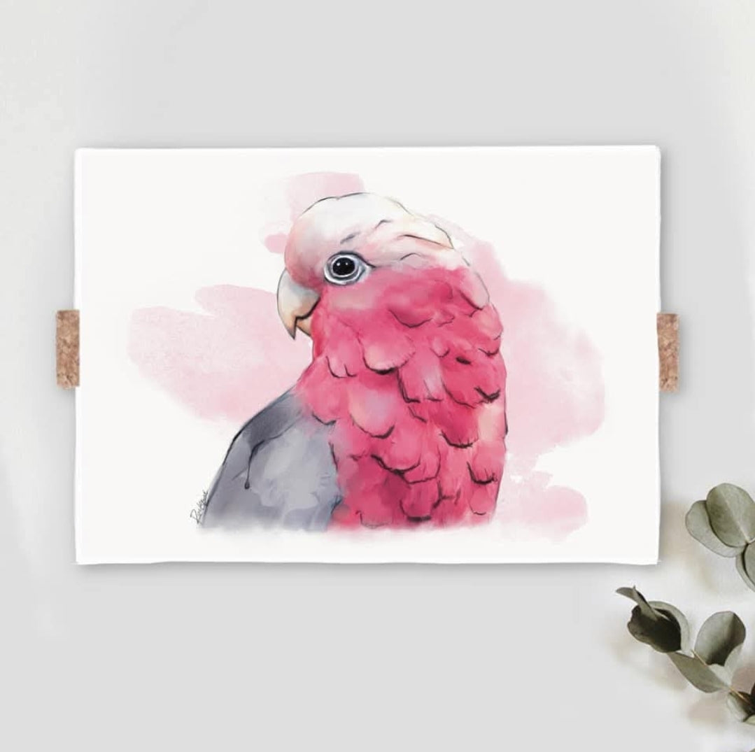 Australian Birds Fine Art print - A4