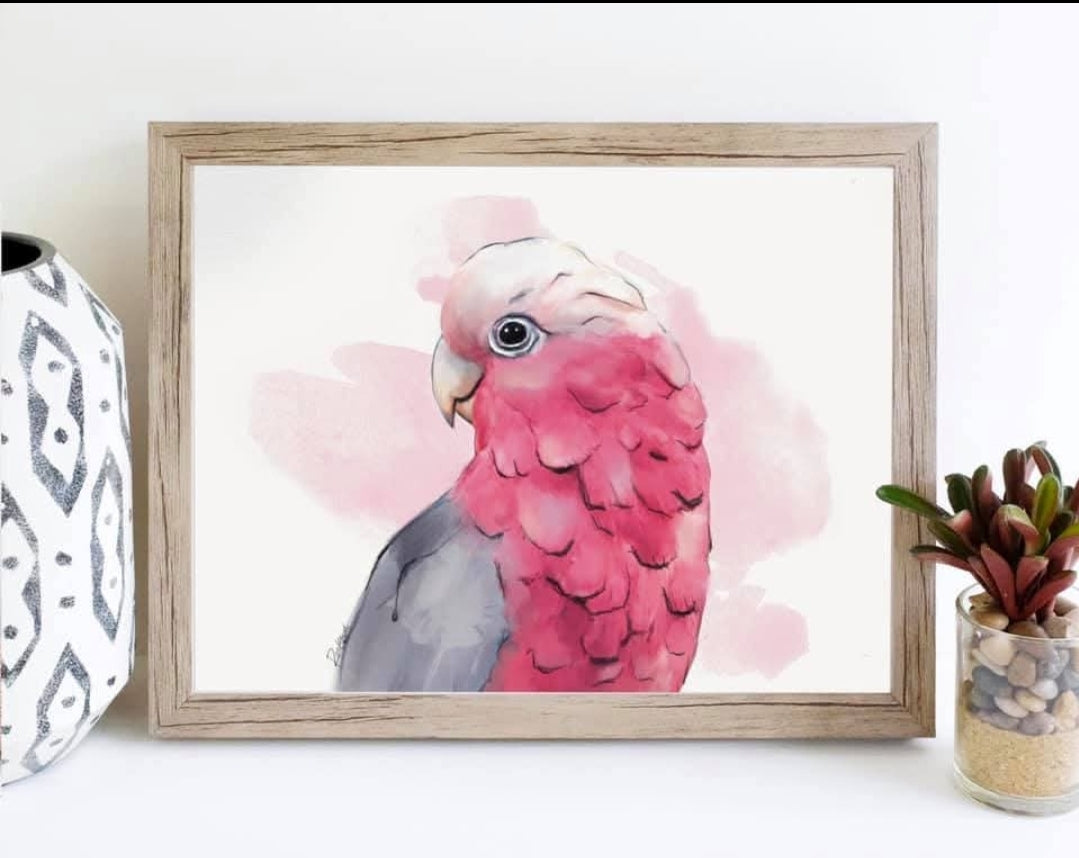 Australian Birds Fine Art print - A4