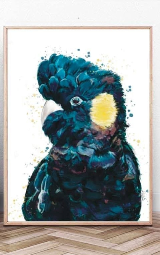 Australian Birds Fine Art print - A4