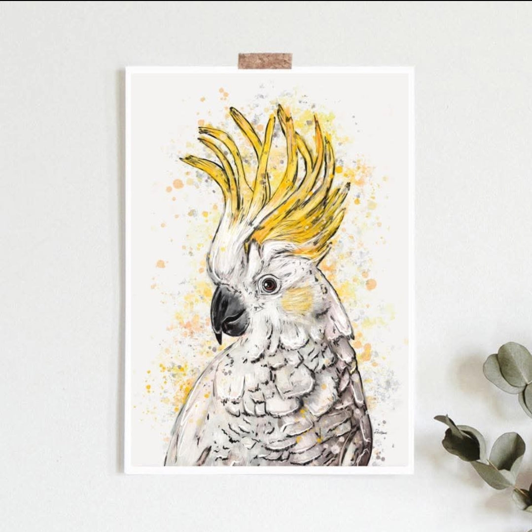 Australian Birds Fine Art print - A4