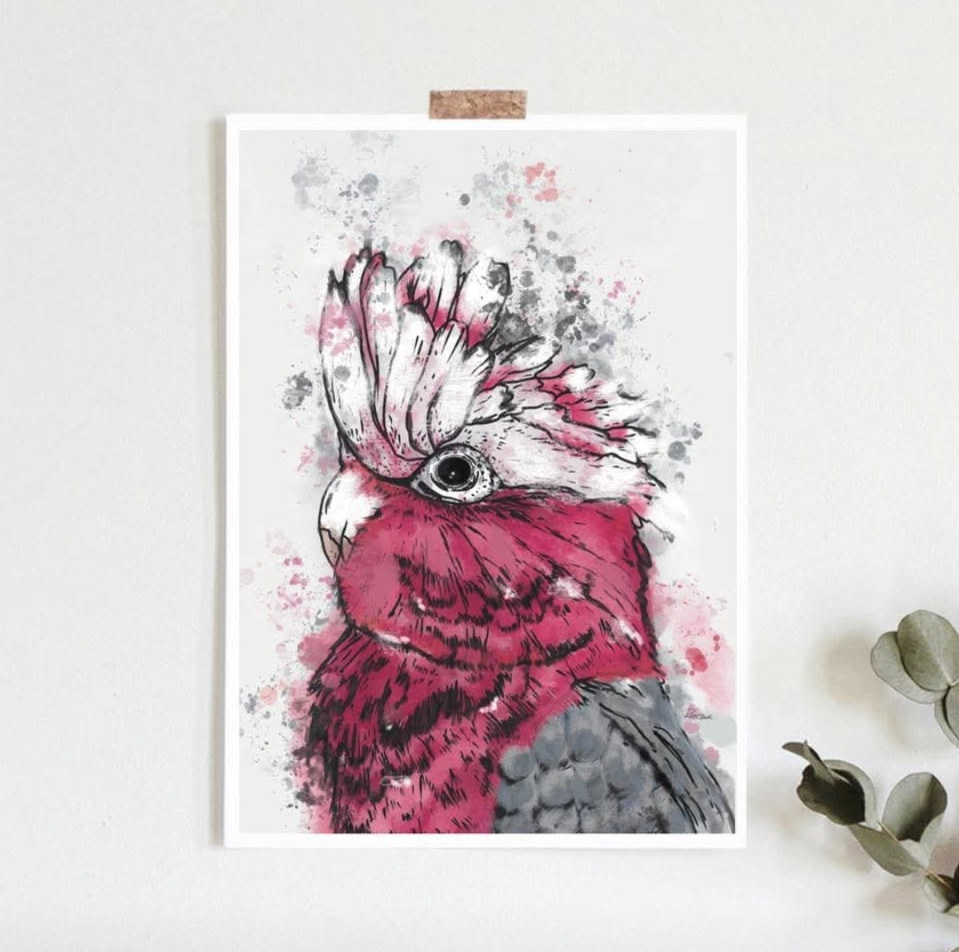 Australian Birds Fine Art print - A4