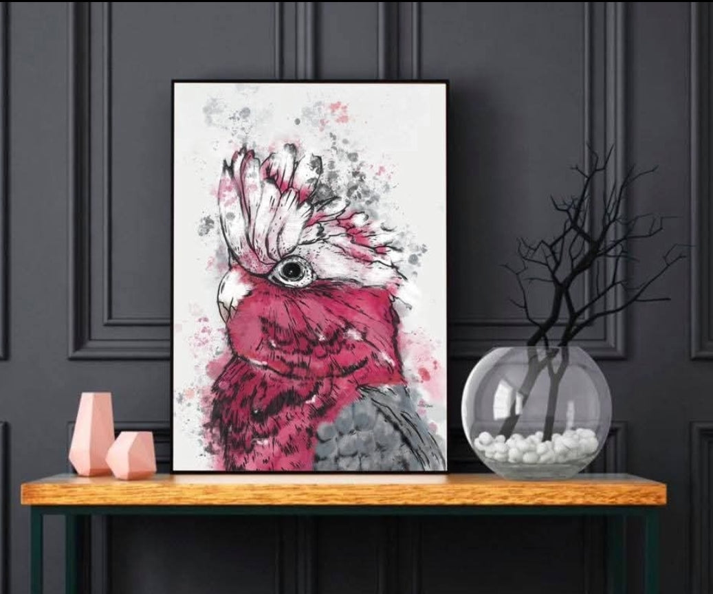 Australian Birds Fine Art print - A4