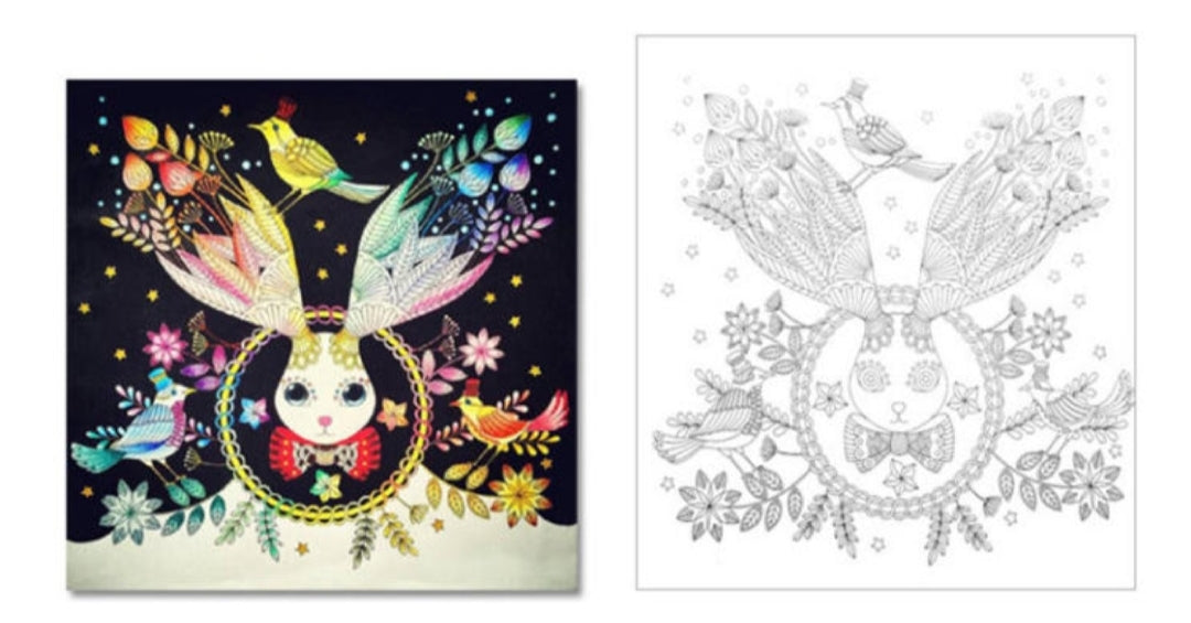 Ensemble de 4 livres de coloriage