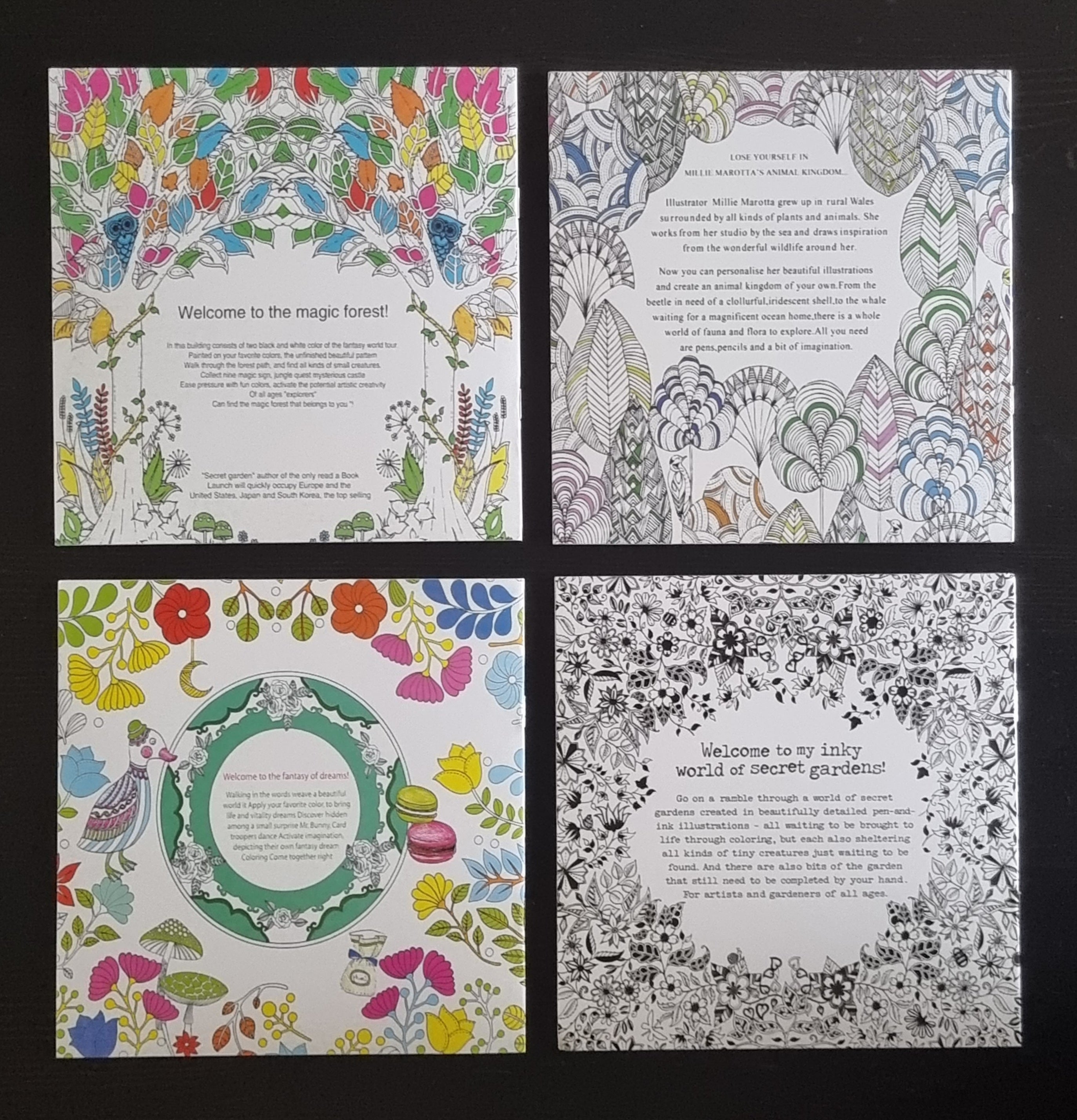 Ensemble de 4 livres de coloriage