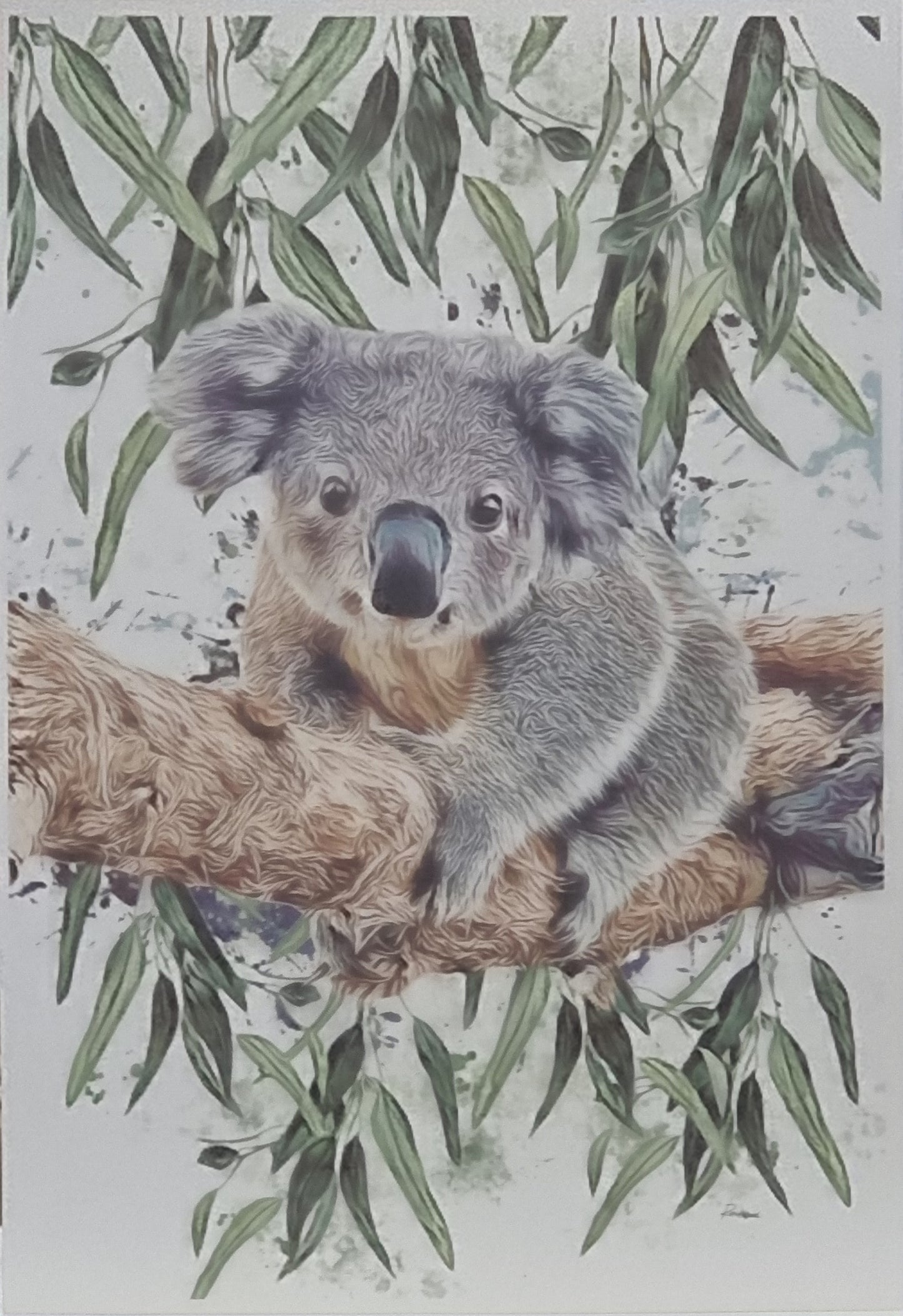 Koala on a branch Fine Art Print