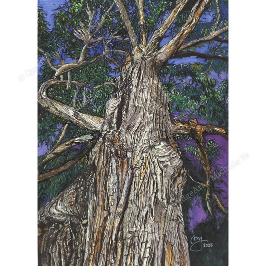 A5 Unframed Art Print - Veins of the Earth - Queen's Domain, Tasmania