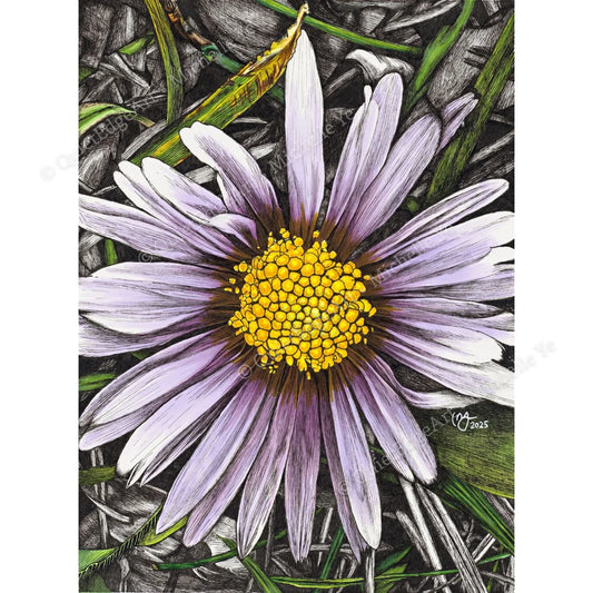 A5 Unframed Art Print - Daisy in the Grass