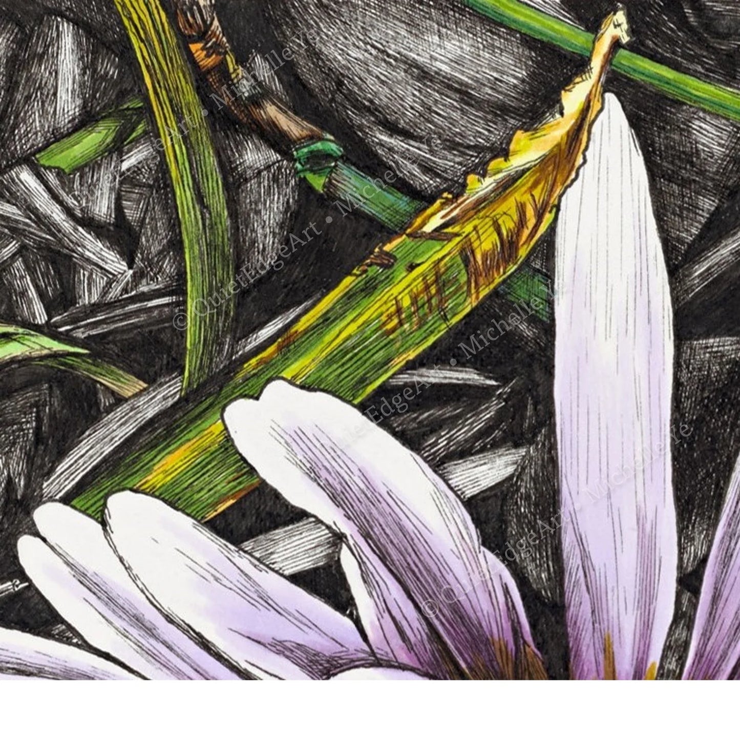 A5 Unframed Art Print - Daisy in the Grass