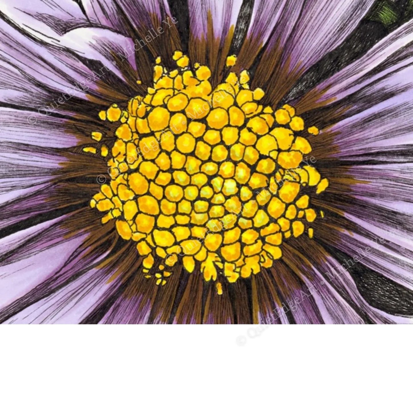 A5 Unframed Art Print - Daisy in the Grass