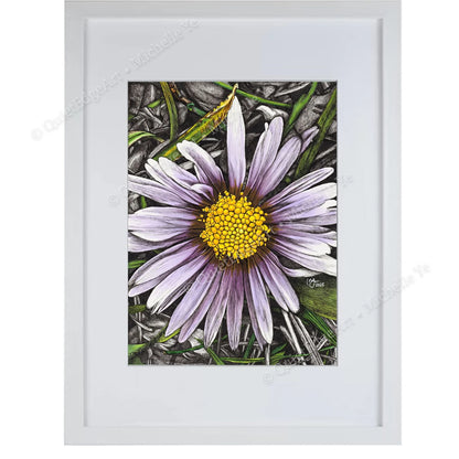 A5 Unframed Art Print - Daisy in the Grass