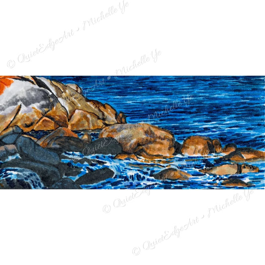 A5 Unframed Art Print - Coastal Flame - Bay of Fires, Tasmania