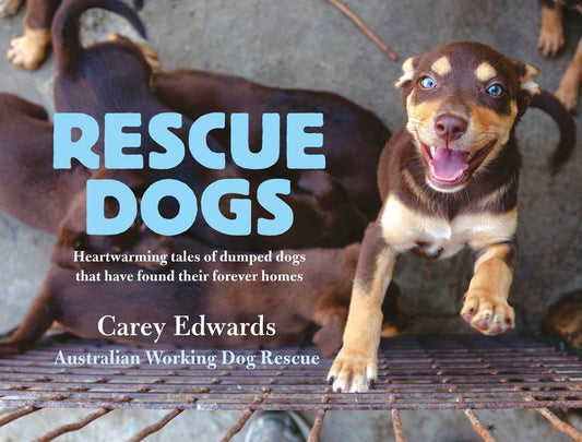 Rescue Dogs by Carey Edwards