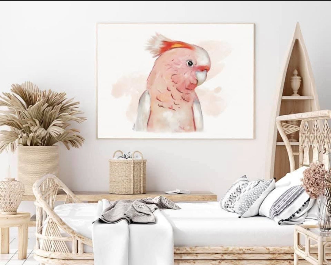 Australian Birds Fine Art print - A3