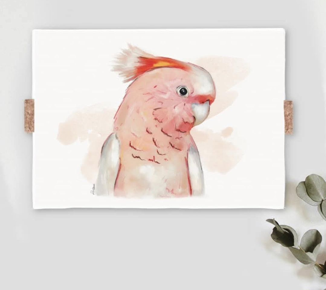 Australian Birds Fine Art print - A3