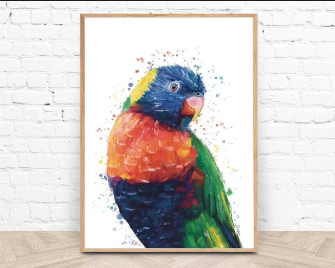 Australian Birds Fine Art print - A3