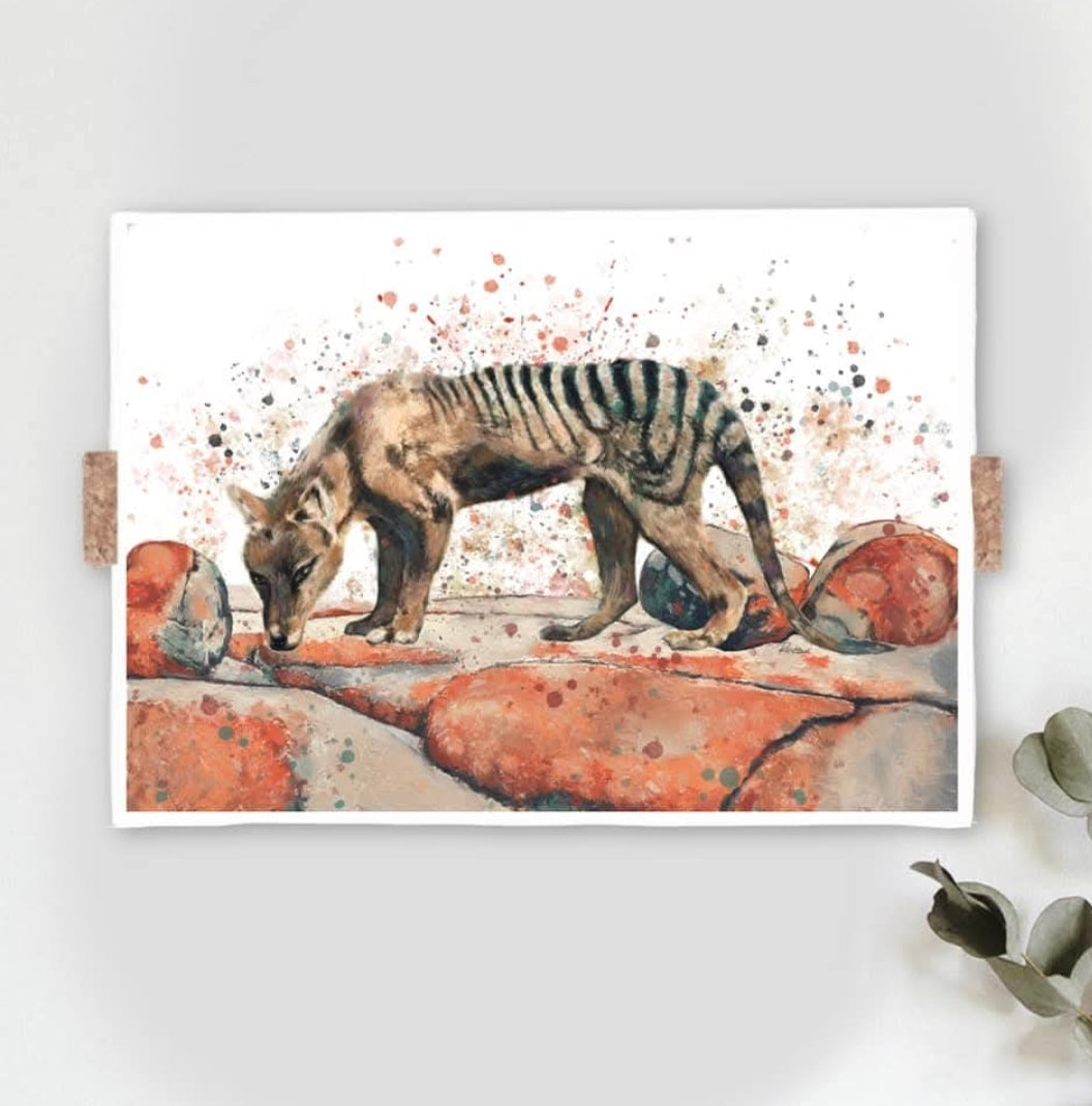 Tasmanian Animals Fine Art Print