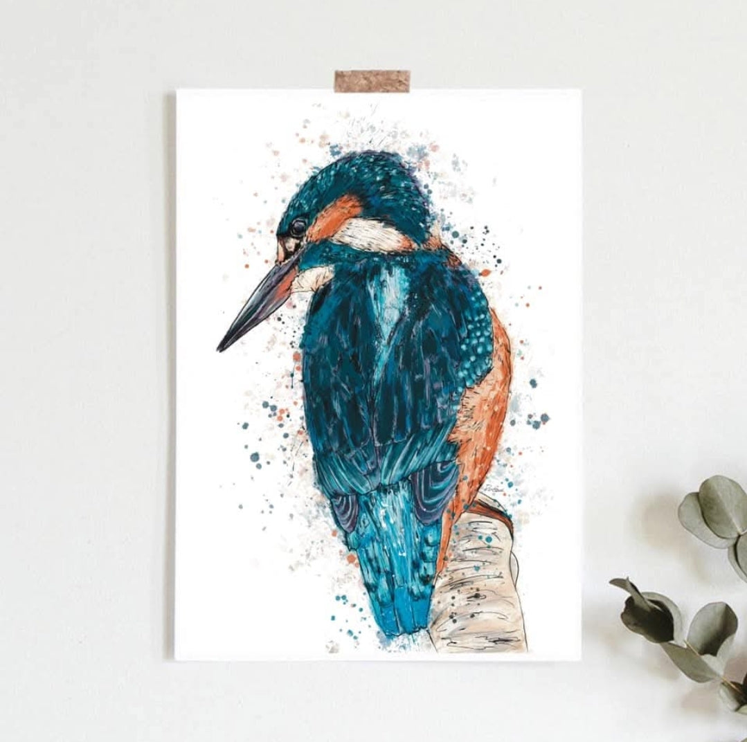 Australian Birds Fine Art print - A3