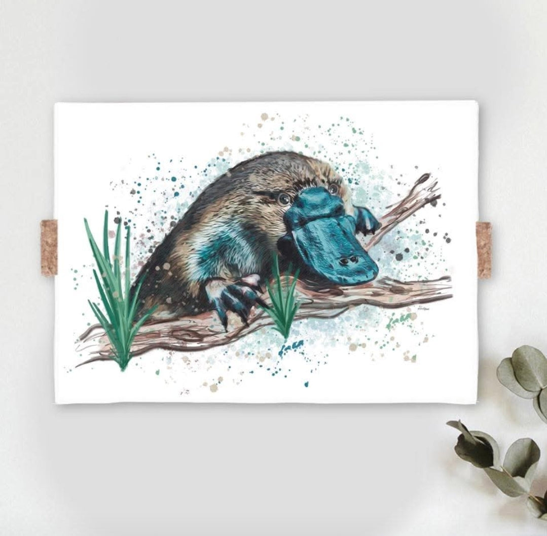 Tasmanian Animals Fine Art Print