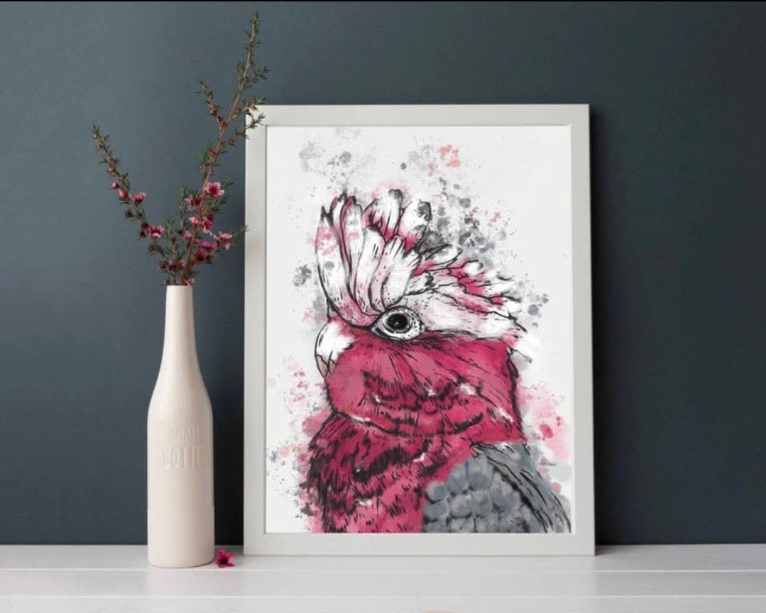 Australian Birds Fine Art print - A3