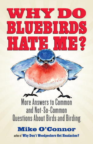 Why Do Bluebirds Hate Me?