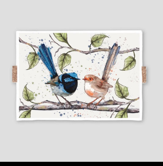 A collection of four fine art prints of Australian birds, featuring a Cockatoo Finch, a Blue Wren, a Black Cockatoo, and a different angle of the Blue Wren, with bold splashes of paint in various colors.