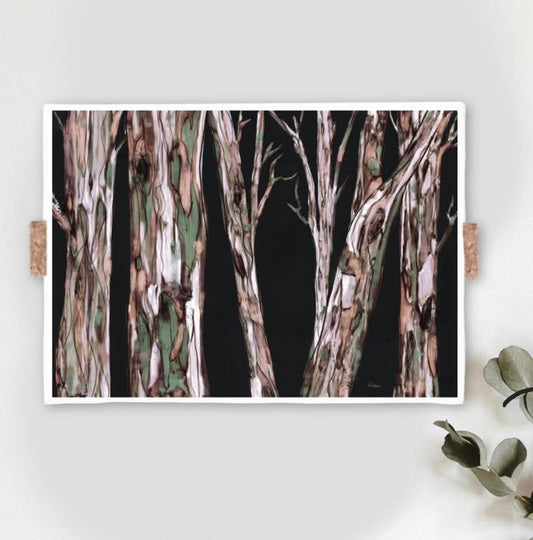 Australian Plants fine art print