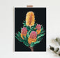 Australian Plants fine art print