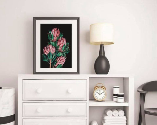 Protea flower fine art print